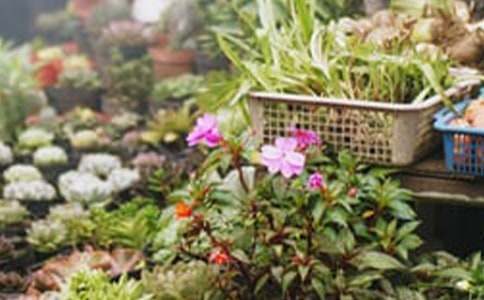 ���괴ҵ�߻���