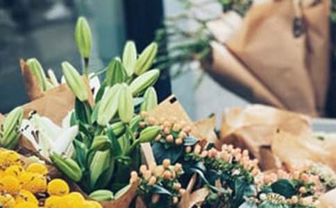 ������������(5ƪ)