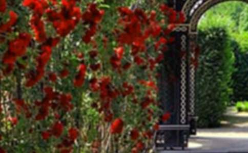 ��ׯ��԰���δ�11ƪ