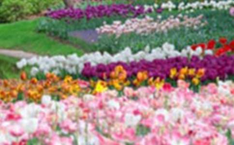 巨人的花园作文大全10篇