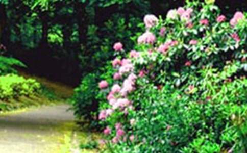 ��԰��ҵ��������Э��