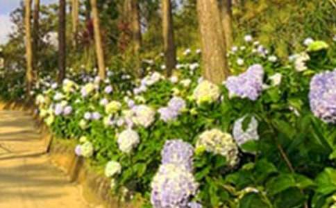 《巨人的花园》读后感(通用53篇)