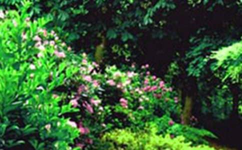 ���꼶���˵Ļ�԰�̰�