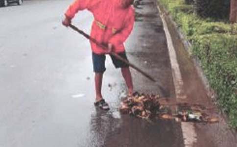 �����������ܽ�