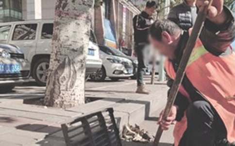 ������������5ƪ