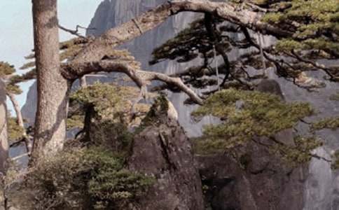 ��ɽ���δʱر�[15ƪ]