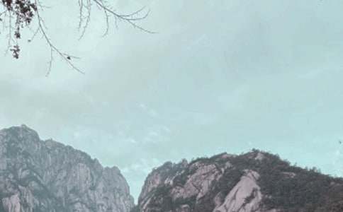 ��ɽ���δ�15ƪ���ϼ���