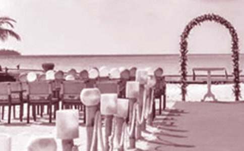 ����������������´�