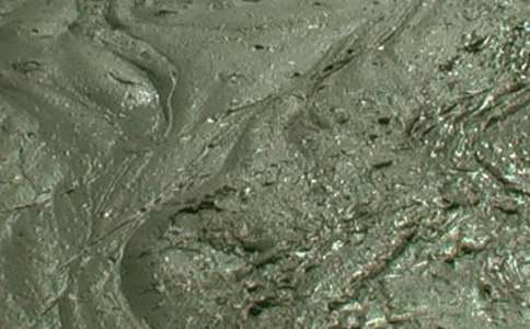 ��������ҵʵϰ����