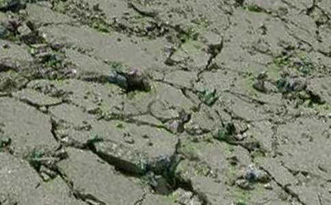 ����������վ�����ܽ�3ƪ