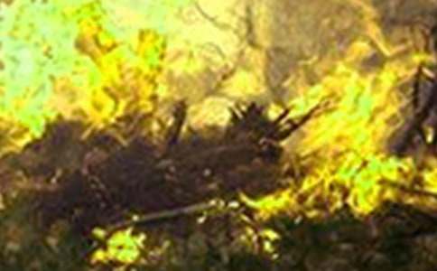 ���ַ�������ĵ����