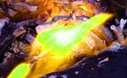 ���ְ�Ṥ���ܽ�