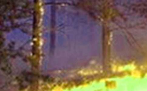 Ԥ������119��������