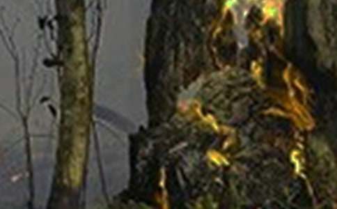 �����¹ʵĵ��鱨��