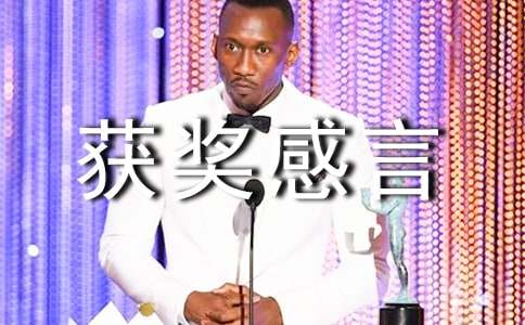 �齱�񽱸���