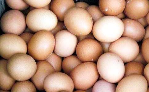 (��ѡ)����������������15ƪ