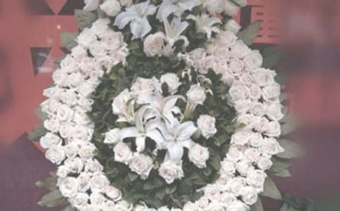 �����ഺѧ������800��