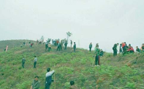 祭祖仪式致辞(精选32篇)