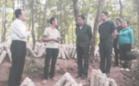 �Ⱦ�Υ�ͼ�����