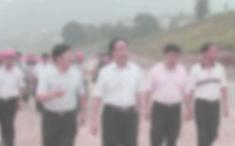 �ͼ첿�����ƻ���