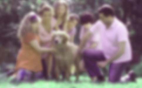 ��ͥ�������ùۺ��(ͨ��15ƪ)