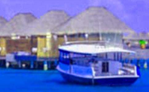 ���ڰ�ȫ��֤��