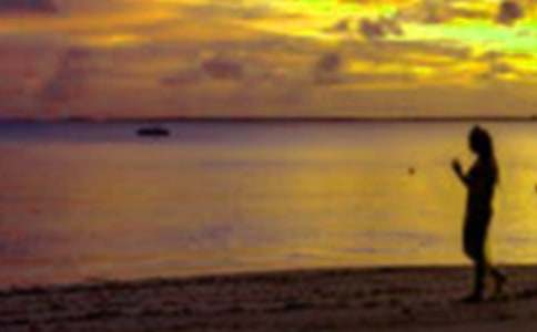 ���ڰ�ȫ��֤�鼯��15ƪ