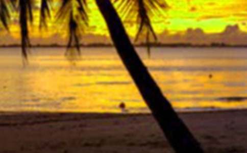 ���ڱ�֤��