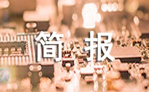 师德师风简报集合(15篇)
