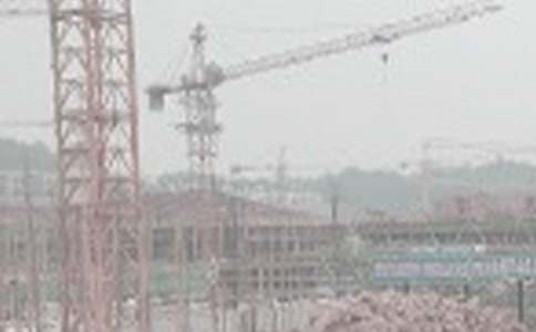 �������̱�����