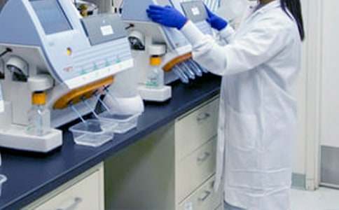 ����ѡ�������鹤���ƻ�����5ƪ