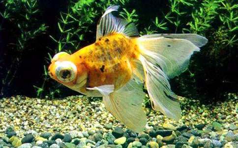 ���㶯�������