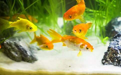 С��������[ʵ��10ƪ]