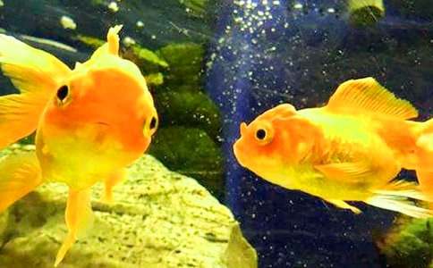 �������������[�ϼ�]