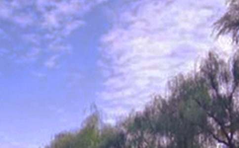 �ط���ɫ�����ĺϼ�6ƪ