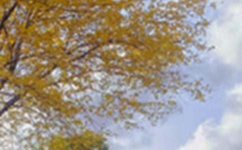 Сѧд��ɫ�����ģ���ѡ��