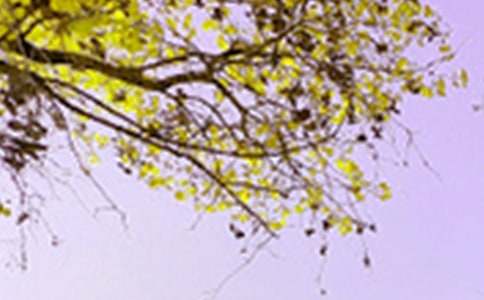 ��ѡ�ط���ɫ������3ƪ