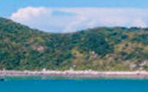 д�ط���ɫ������500�֣�ͨ��4ƪ��