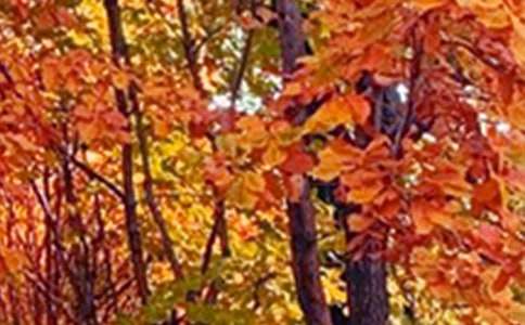 Сѧд��ɫ������[����5ƪ]