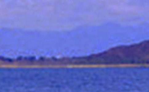 �йصط���ɫ������3ƪ