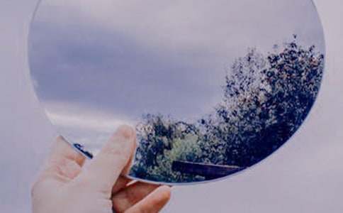 小花猫照镜子作文