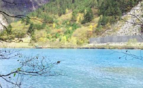 ��������կ�����δ�