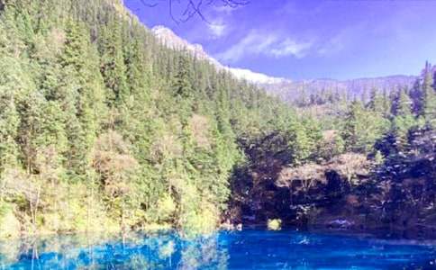 ��կ�����ļ���15ƪ