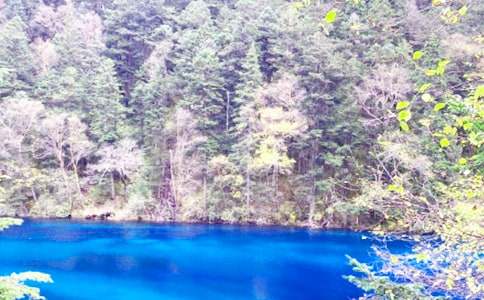 �Ĵ���կ�����δ�(�ϼ�15ƪ)