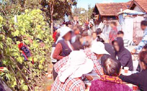 ɥ�¼򵥾�ϯ��л��