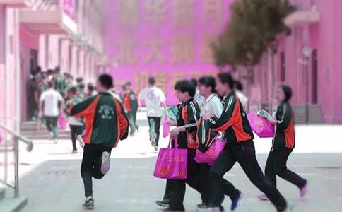 ��ѧѧ���ݽ���(ͨ��15ƪ)