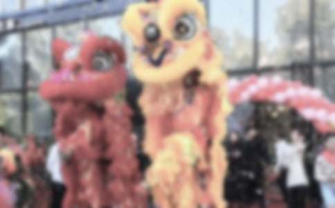 �Ƶ꿪ҵ��件ӭ�ʡ�ͨ��8ƪ��