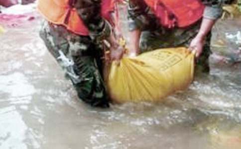 ������ֹ����ܽ�(12ƪ)