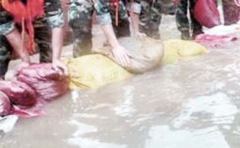 抗洪救灾捐赠倡议书