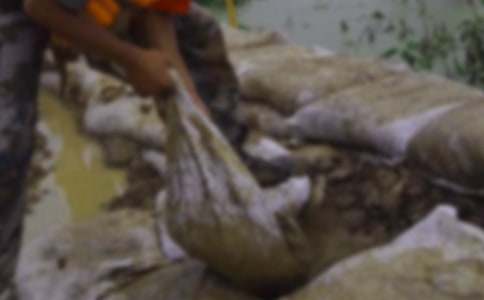 ���¿�����ֵ��ĵ����